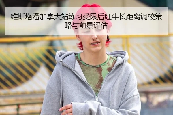 维斯塔潘加拿大站练习受限后红牛长距离调校策略与前景评估
