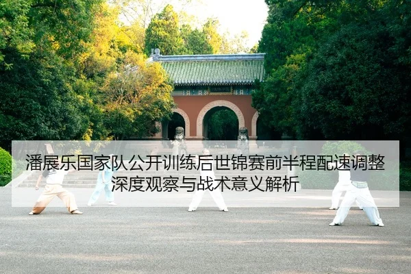 pan-zhan-le-guo-jia-dui-gong-kai-xun-lian-hou-shi-jin-sai-qian-ban-cheng-pei-su-tiao-zheng-shen-du-guan-cha-yu-zhan-shu-2-244.jpg